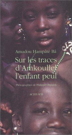 Sur les traces d'Amkoullel, l'enfant peul