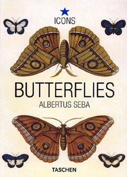 Butterflies & insects. Papillons & insectes