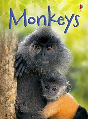 Monkeys (Beginners Series)