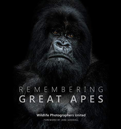 Raggert, M: Remembering Great Apes (Remembering Wildlife, Band 3)