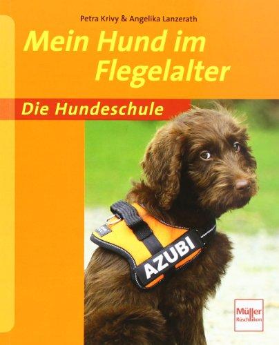 Mein Hund im Flegelalter (Die Hundeschule)