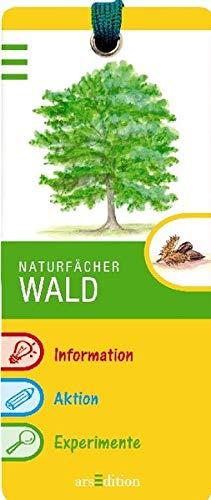 Wald (Naturfächer)