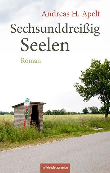 Sechsunddreißig Seelen: Roman