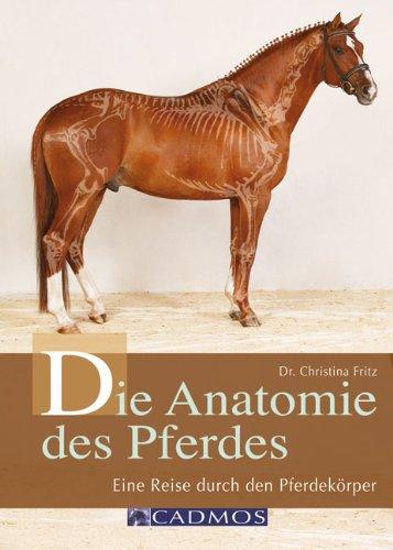 Die Anatomie des Pferdes: Eine Reise durch den Pferdekörper