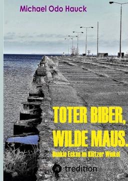 Toter Biber. Wilde Maus: Dunkle Ecken im Klützer Winkel. Stasi, Nazis, Mafia, wer zieht die Fäden?