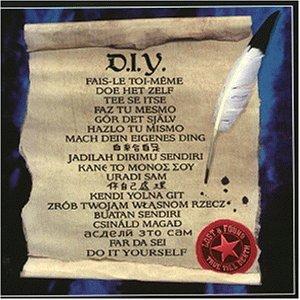 D.I.Y. - A Declaration of Indepedence