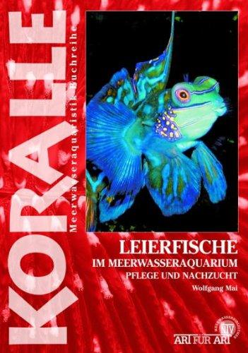 Art für Art: Leierfische: Koralle / Im Meerwasseraquarium, Pflege und Nachzucht