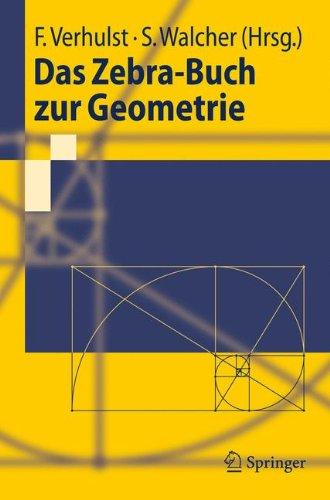 Das Zebra-Buch zur Geometrie (Springer-Lehrbuch) (German Edition)