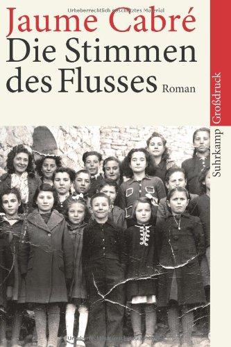 Die Stimmen des Flusses: Roman (suhrkamp taschenbuch)