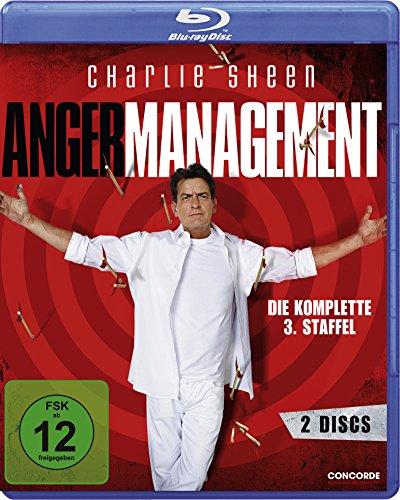 Anger Management - Staffel 3 [Blu-ray]