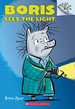 Boris Sees the Light: A Branches Book (Boris #4) (Boris: Branches)