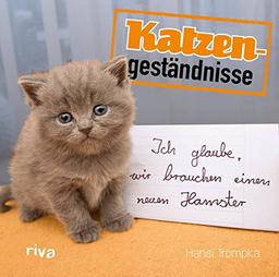 Katzengeständnisse: Ich glaube, wir brauchen einen neuen Hamster