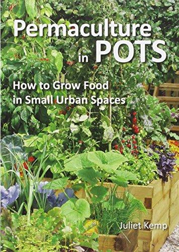 Permaculture in Pots: How to Grow Food in Small Urban Spaces