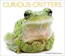 Curious Critters Volume Two