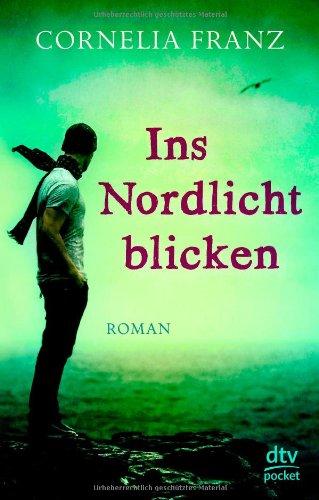 Ins Nordlicht blicken: Roman