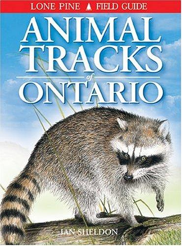 Animal Tracks of Ontario and the Great Lakes Region (Animal Tracks Guides)