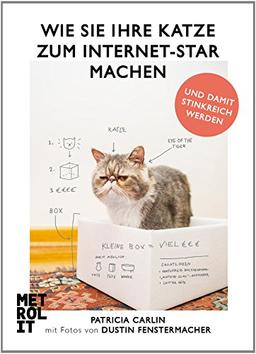 Wie Sie Ihre Katze zum Internet-Star machen: und damit stinkreich werden