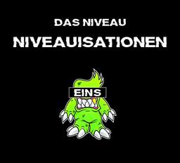 Niveauisationen