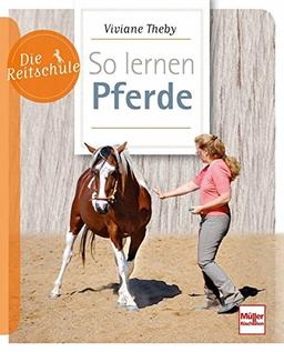 So lernen Pferde (Die Reitschule)