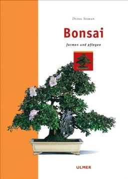 Bonsai