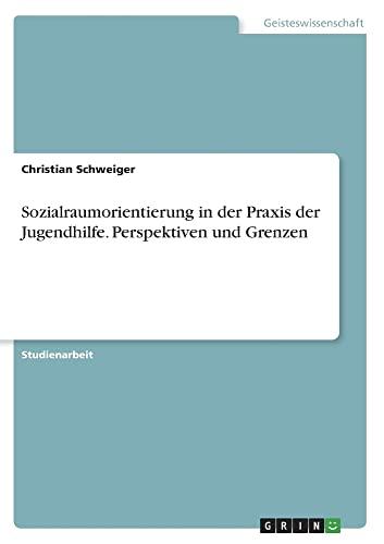 Sozialraumorientierung in der Praxis der Jugendhilfe. Perspektiven und Grenzen