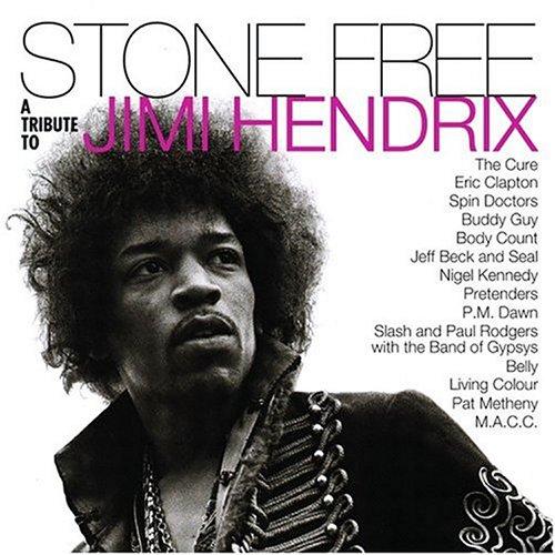 Stone Free: A Tribute to Jimi Hendrix