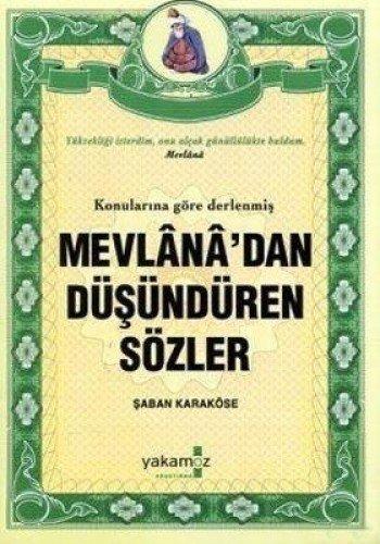 MEVLANADAN DÜŞÜNDÜREN SÖZLER