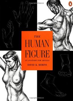 The Human Figure: An Anatomy for Artists