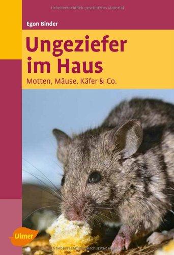 Ungeziefer im Haus: Motten, Mäuse, Käfer & Co