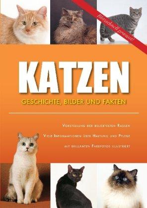 Katzen