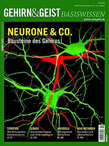 Neurone & Co.: Bausteine des Gehirns (Gehirn&Geist Basiswissen)