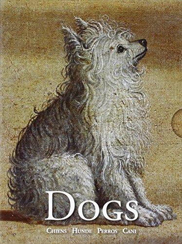 Dogs: Greeting Card