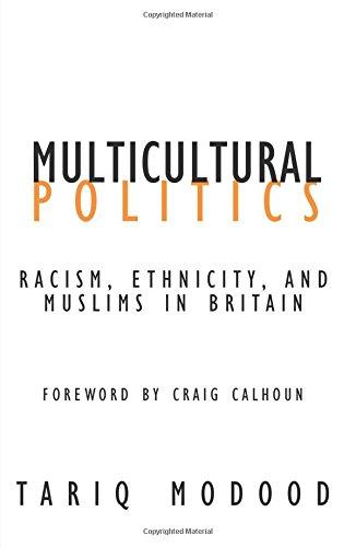 Multicultural Politics: Racism, Ethnicity, and Muslims in Britain (Contradictions, Band 22)