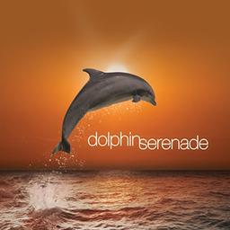 Dolphin Serenade