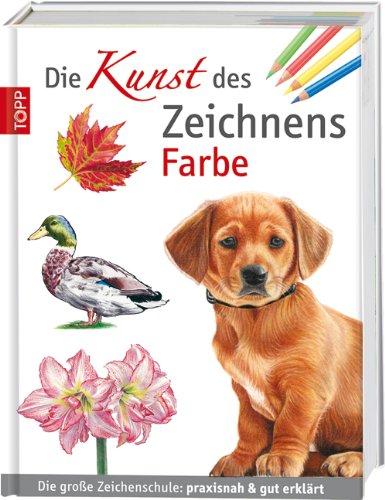 Die Kunst des Zeichnens Farbe: Die große Zeichenschule: praxisnah & gut erklärt