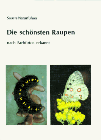 Die schönsten Raupen