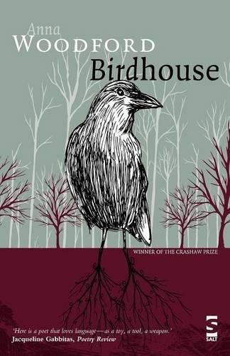 Birdhouse (Salt Modern Poets)