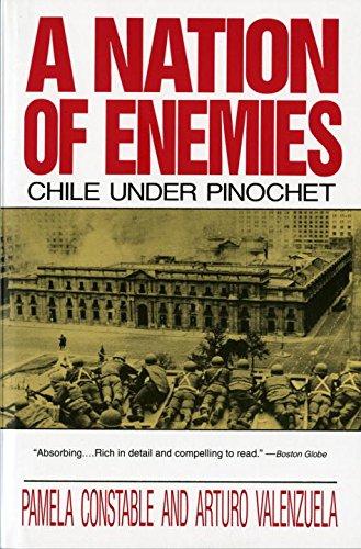 A Nation of Enemies: Chile Under Pinochet (Norton Paperback)