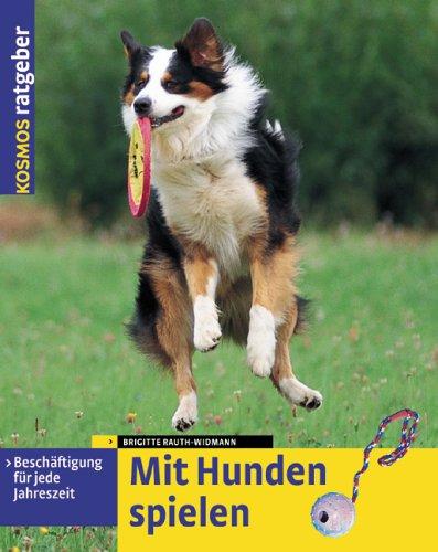 Mit Hunden spielen: Beschäftigung für jede Jahreszeit