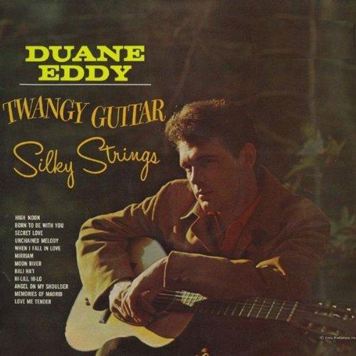 Twangy Guitar Silky Strings