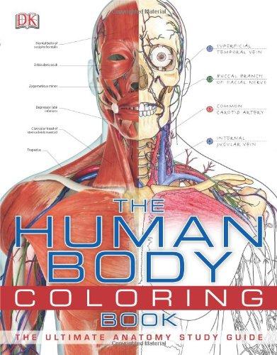 The Human Body Coloring Book