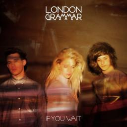 If You Wait [Lp/CD] [Vinyl LP]