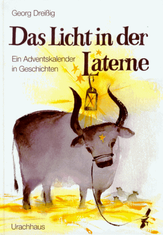 Das Licht in der Laterne. Ein Adventskalender in Geschichten