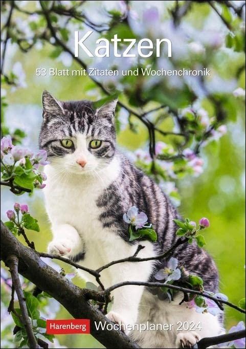 Katzen Wochenplaner 2024: 53 Blatt mit Zitaten und Wochenchronik