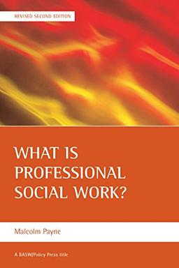 What is professional social work? (Basw/Policy Press Titles)