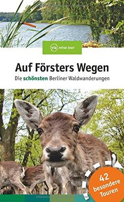 Auf Försters Wegen: Die beliebtesten Berliner Waldwanderungen