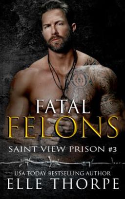 Fatal Felons (Saint View Prison, Band 3)