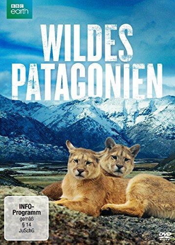 Wildes Patagonien