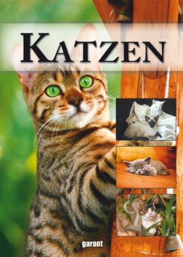 Katzen: VON ABESSINIERKATZE BIS WALDKATZE