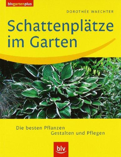 Schattenplätze im Garten: Die besten Pflanzen. Gestalten und Pflegen